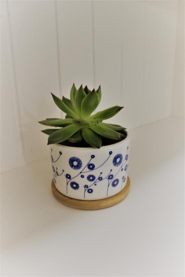 La Maiolica Lejlighed Anacapri  Eksteriør billede